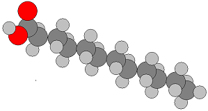 Palm Kernel Acid 2