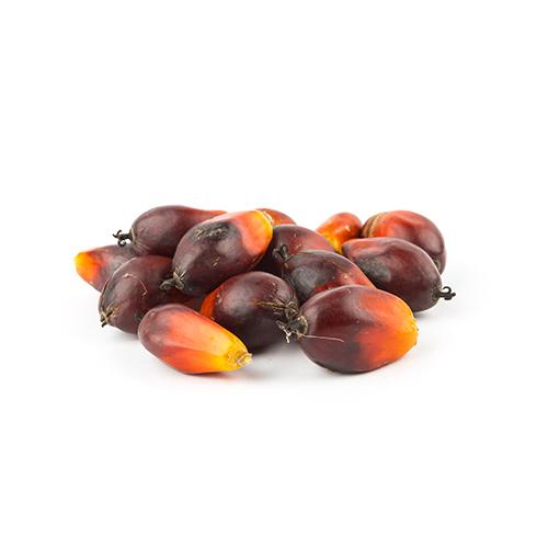 Palm Oil Polyglyceryl-3 Esters 1