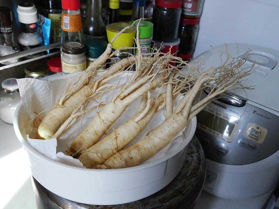 Panax ginseng root 2