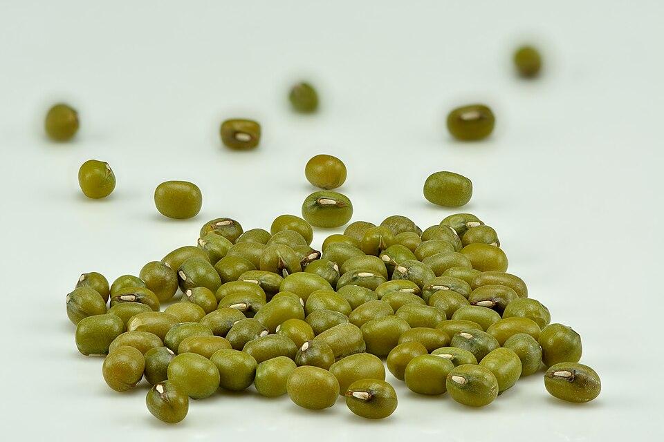 Phaseolus Radiatus Seed Starch 1