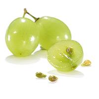 Phytosteryl Canolate 3