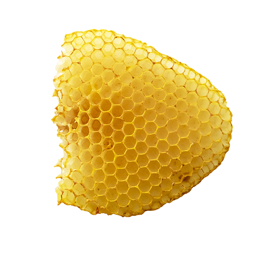 Beeswax 24