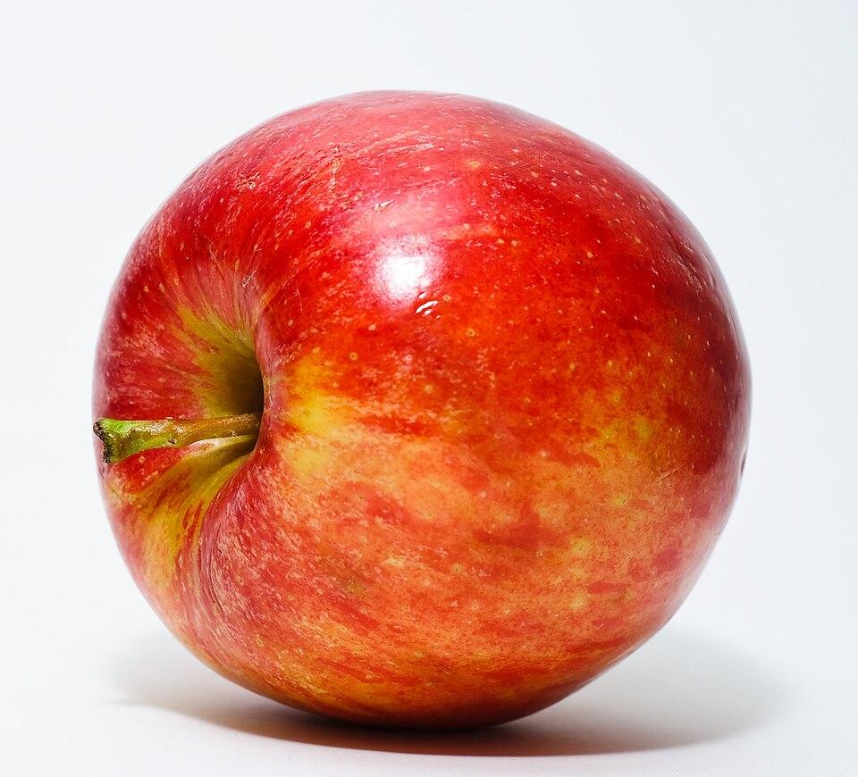 Pyrus malus (Apple) peel extract 2