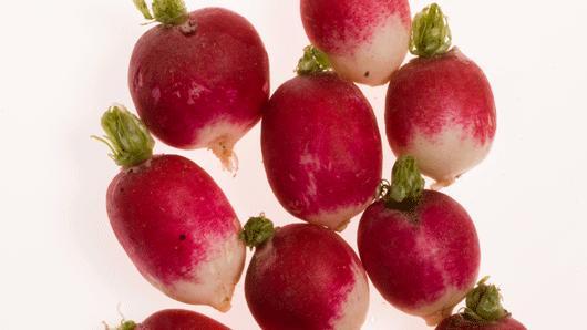 Raphanus sativus (Radish) root extract 3