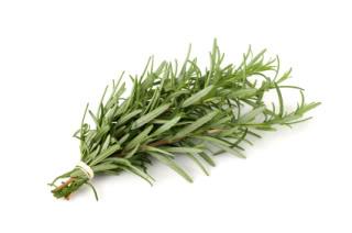 Rosemary 2