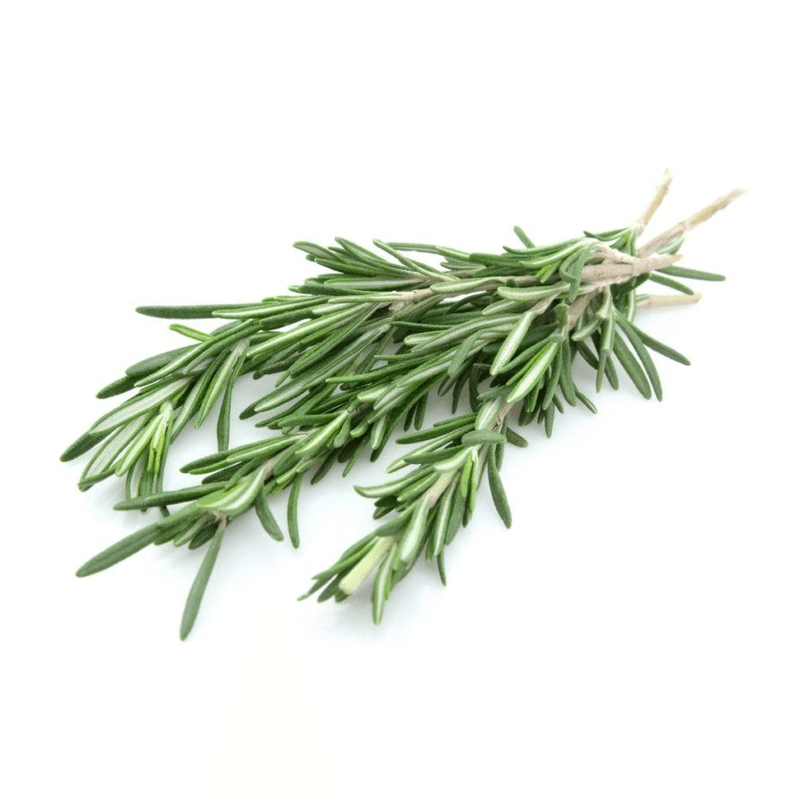 Rosemary 4
