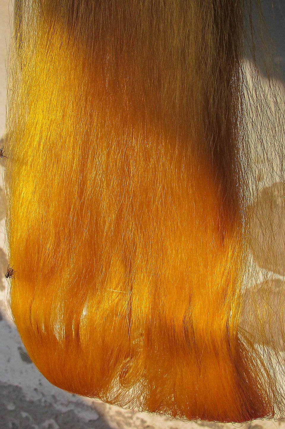 Silk Extract 3