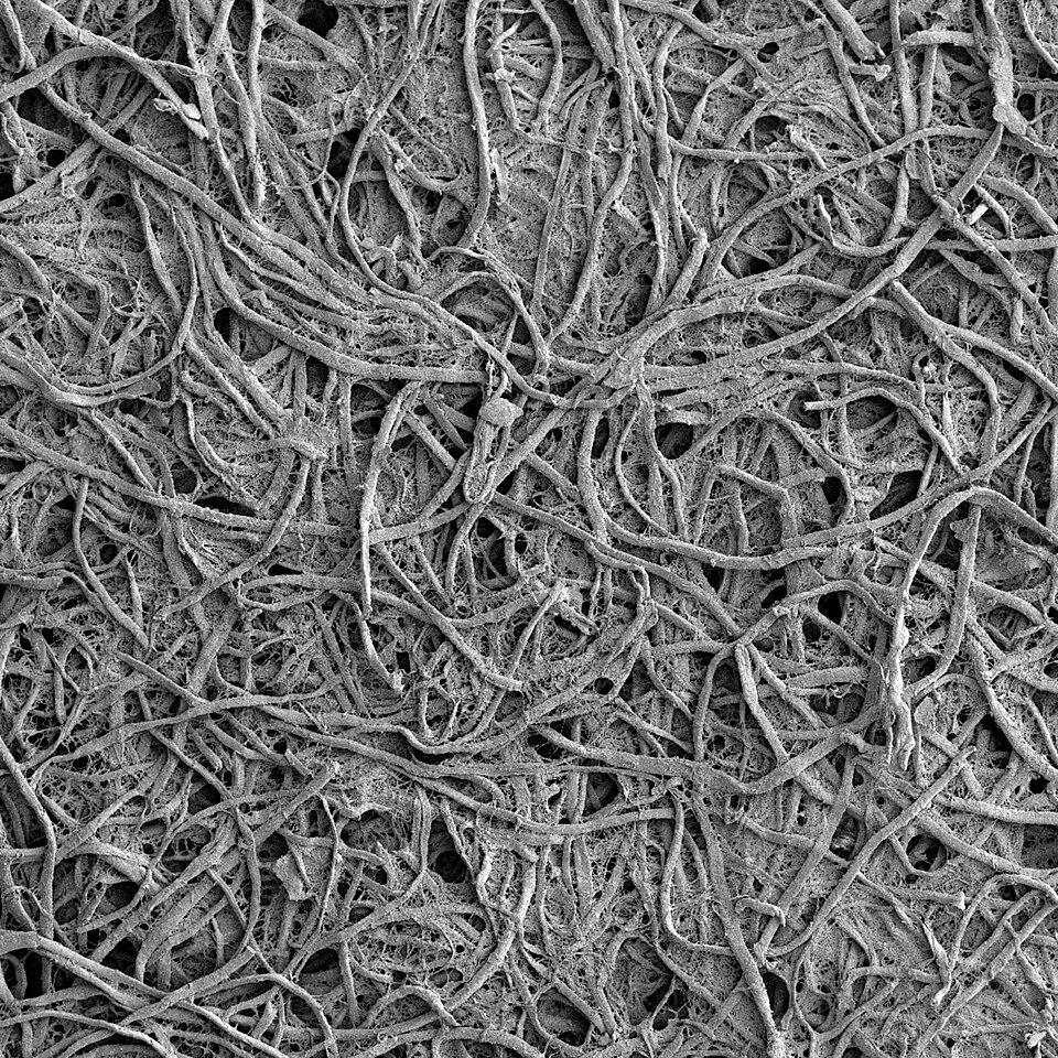 Silk Extract 7