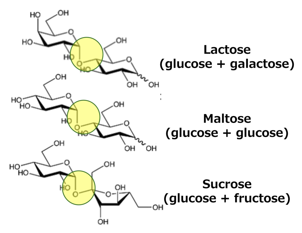 Sucrose 4