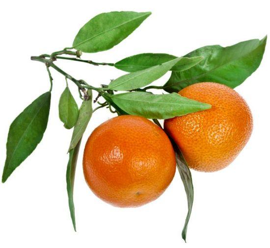 Tangerine 3