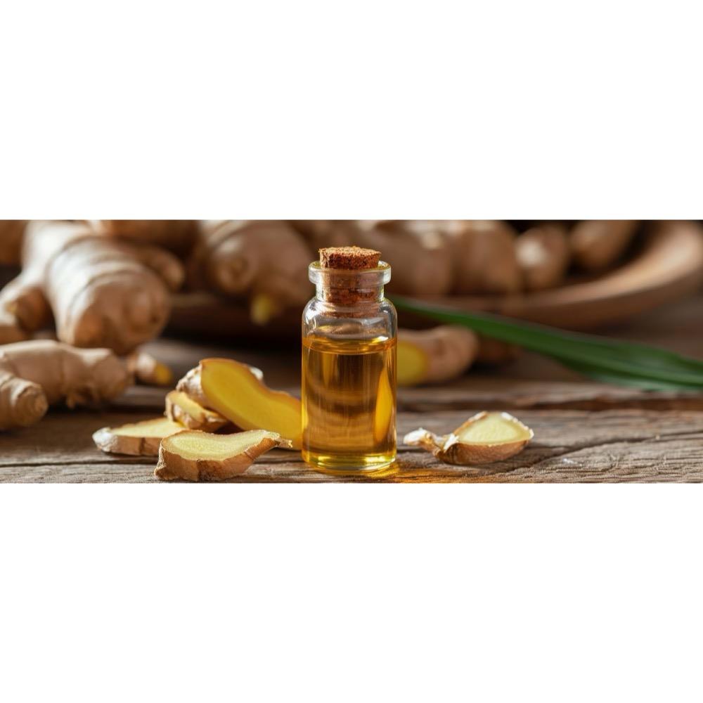 Zingiber officinale (Ginger) root extract 2