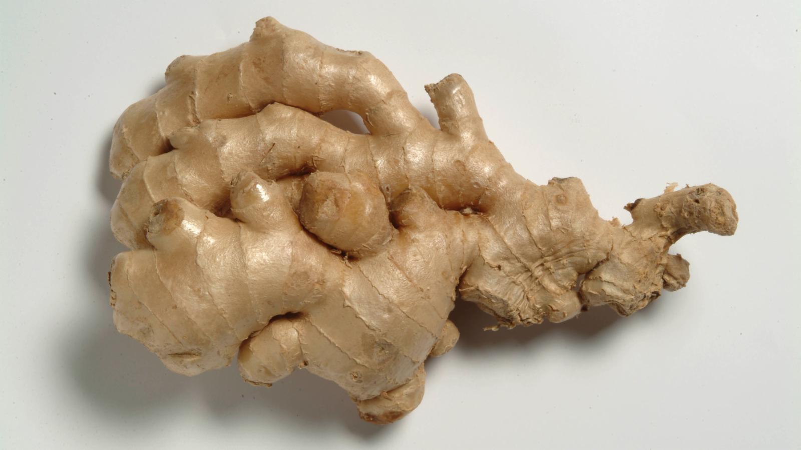 Zingiber officinale (Ginger) root extract 1